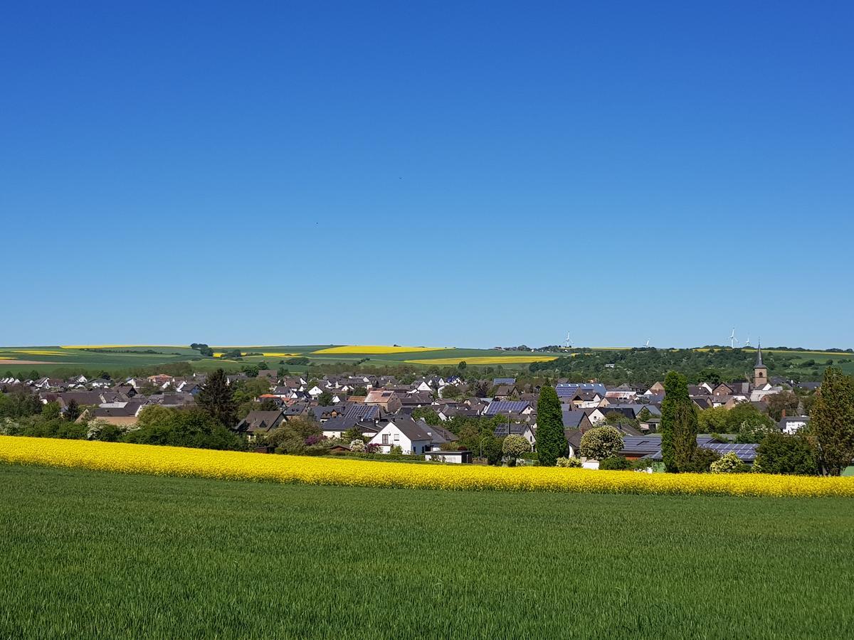 Ferienwohnung Hedi Mertloch Bagian luar foto